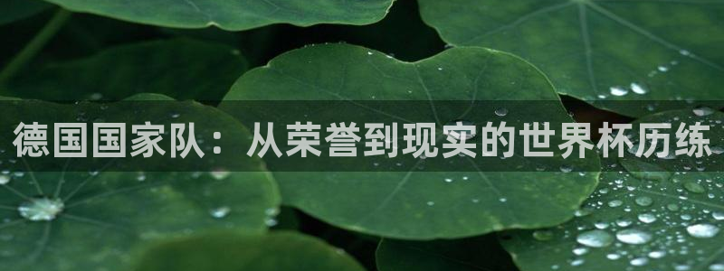 世界杯球赛：德国国家队：从荣誉到现实的世界杯历练