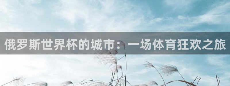 世界杯直播网站：俄罗斯世界杯的城市：一场体育狂欢之旅