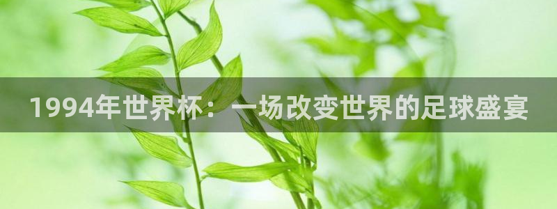 2026年世界杯对阵图：1994年世界杯：一场改变世界的足球盛宴