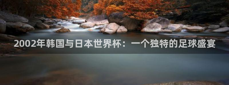 联赛杯直播：2002年韩国与日本世界杯：一个独特的足球盛宴