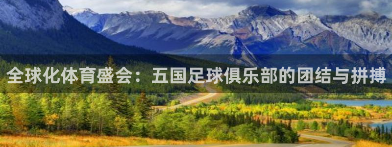 世界杯足球比赛：全球化体育盛会：五国足球俱乐部的团结与拼搏