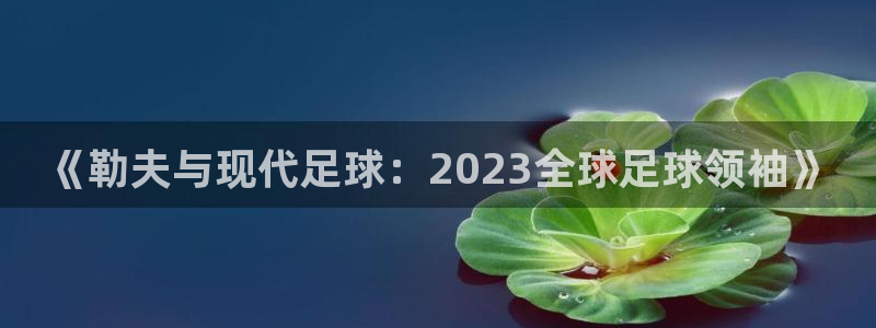 世界杯直播观看：《勒夫与现代足球：2023全球足球领袖》