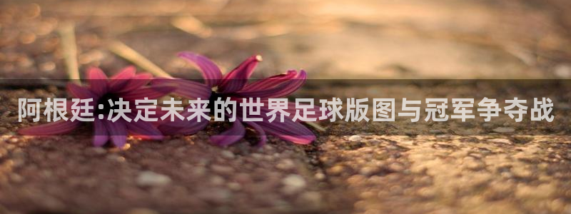 2026世界杯亚洲区预选赛：阿根廷:决定未来的世界足球版图与冠军争夺战