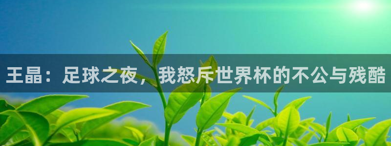 世界杯16强赛程表：王晶：足球之夜，我怒斥世界杯的不公与残酷